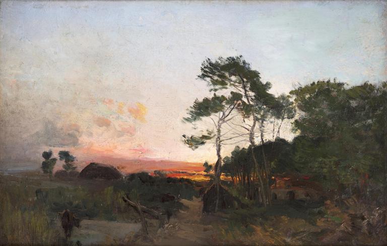 Sunset on the Fontainebleau forest