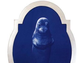 Phoque moine d'Hawaï (Icônes de l'océan)