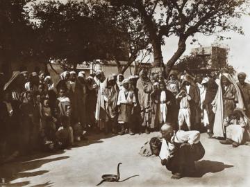 The snake Trainer, Tunisia