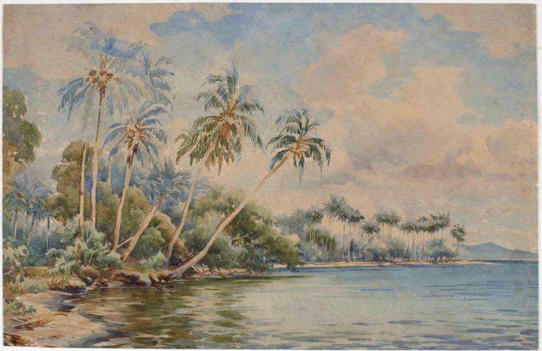 Cocotiers au bord du lagon, Tahiti