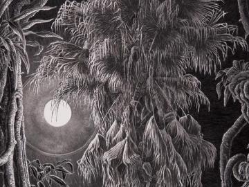 Palmier de Chine au clair de lune 