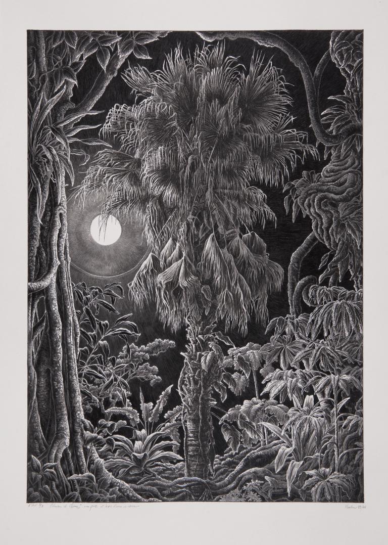 Palmier de Chine au clair de lune 