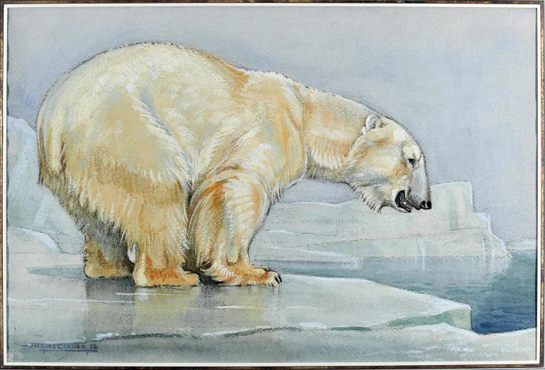 Polar Bear on the Ice Floe