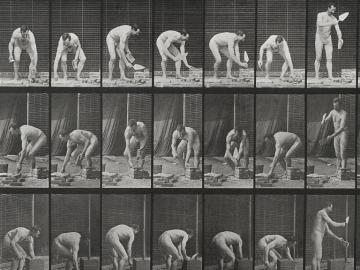 Homme nu, planche d'Animal Locomotion