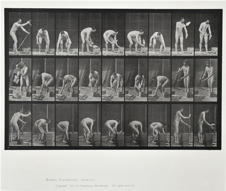 Homme nu, planche d'Animal Locomotion