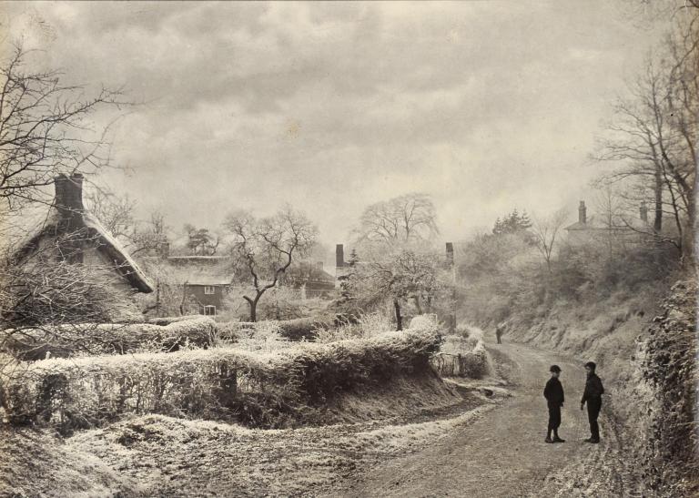 Paysage sous le givre