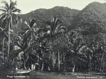 Plage tahitienne