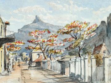 A street Port Louis and flamboyant tree, Mauritius