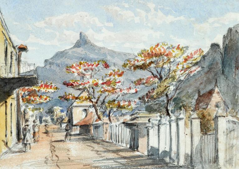 A street Port Louis and flamboyant tree, Mauritius