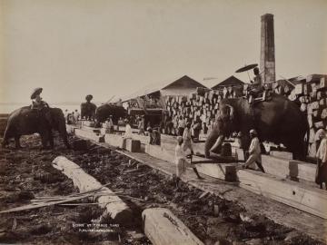 Elephants at work, Rangoon