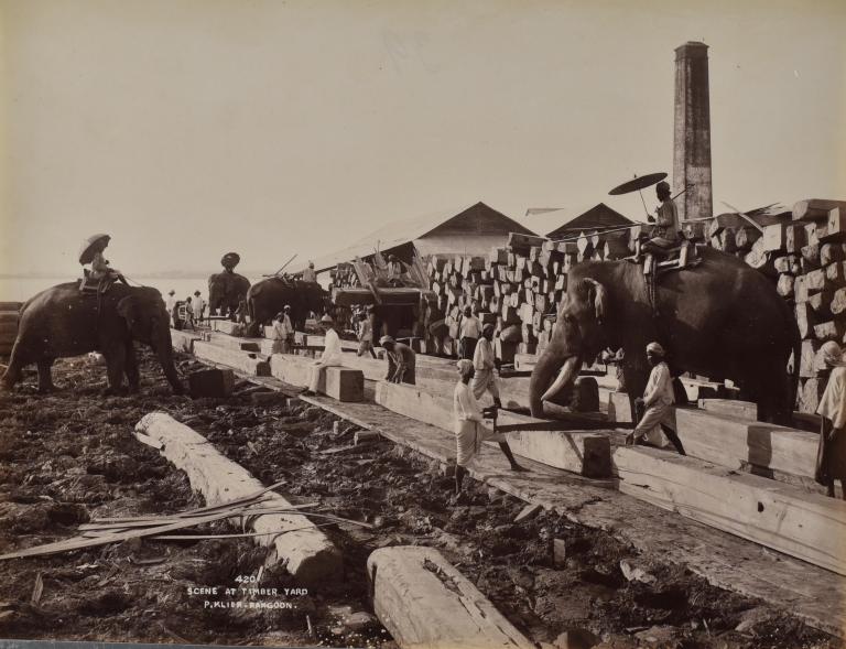 Elephants at work, Rangoon