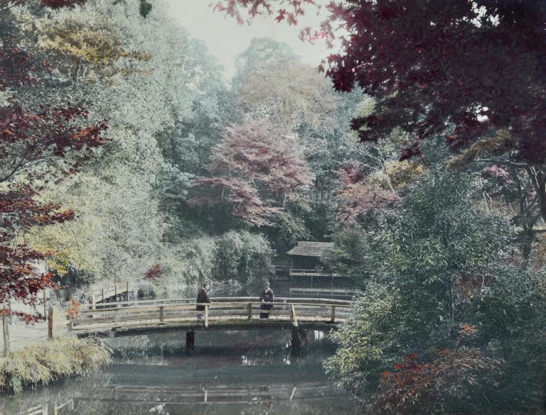 Maple trees at Oji near Tokyo, Autumn