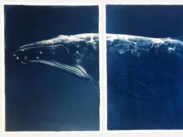 Megaptera, Triptyque de la baleine