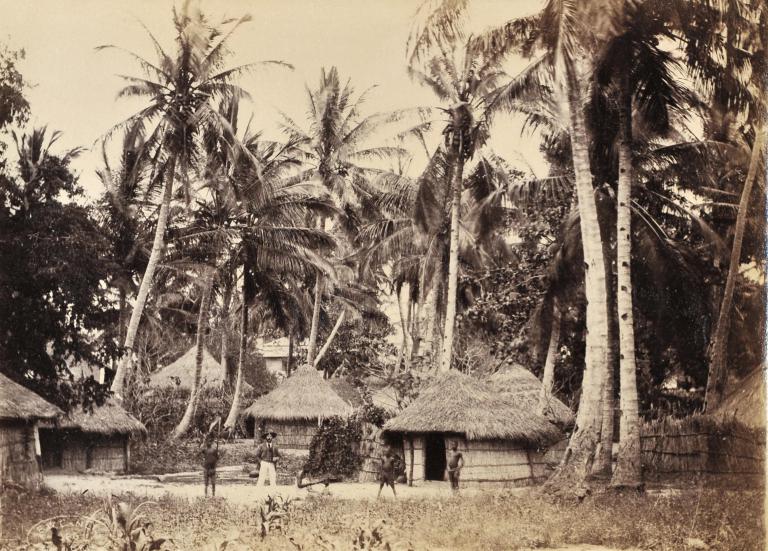 Village in a palm grove