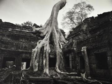 Bayon, 1994, Angkor n°79