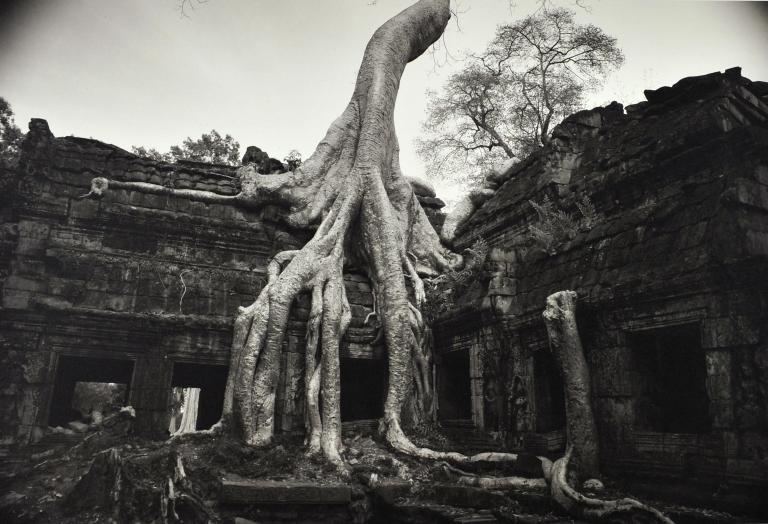Bayon, 1994, Angkor n°79