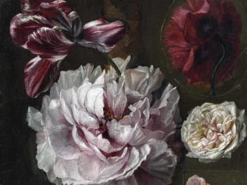 Étude de pivoines, tulipes et roses