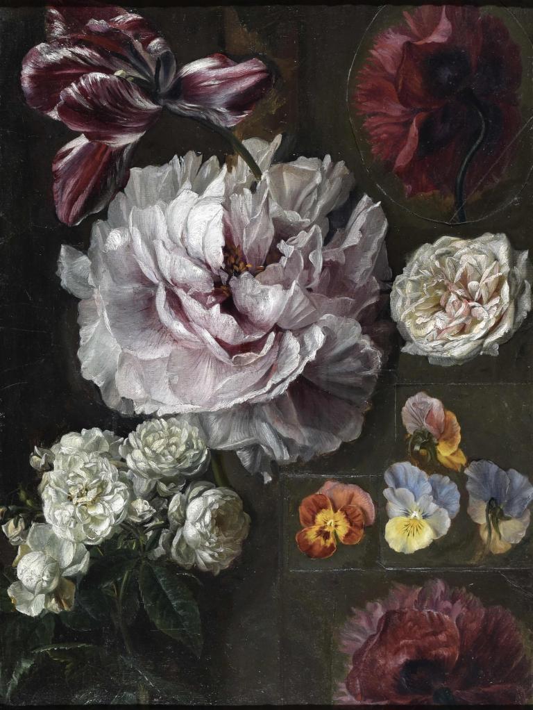 Étude de pivoines, tulipes et roses