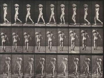 Homme nu, planche d'Animal Locomotion