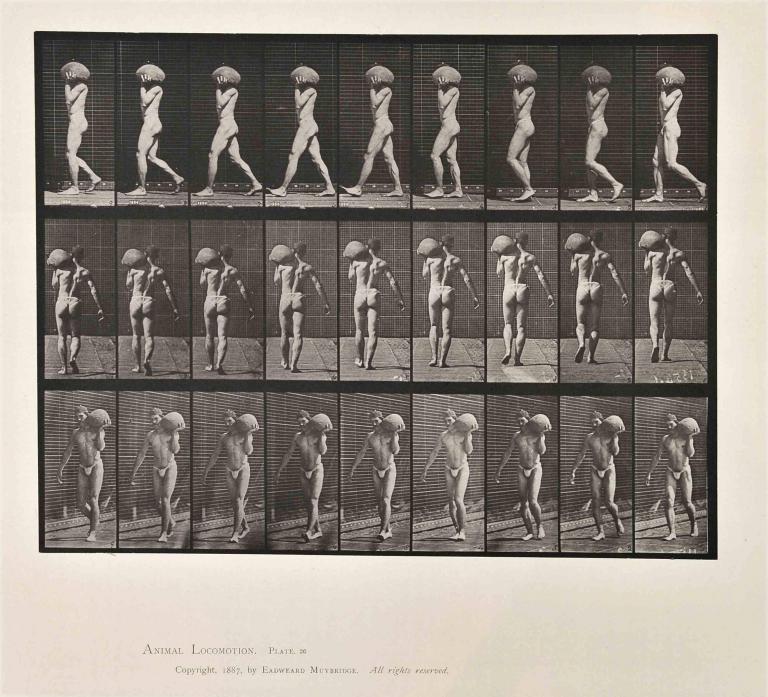 Homme nu, planche d'Animal Locomotion