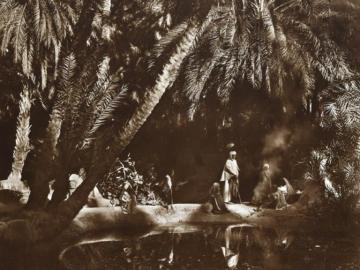 Oasis in a palm grove, Tunisia 