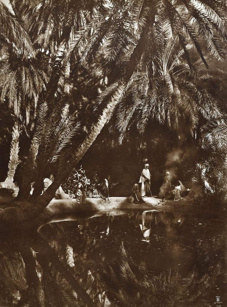 Oasis in a palm grove, Tunisia 