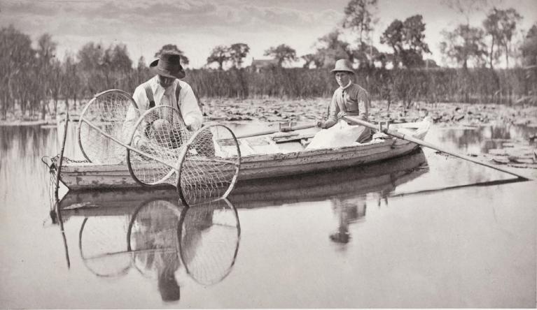 Setting the bow net