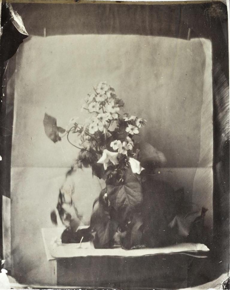 Flower study