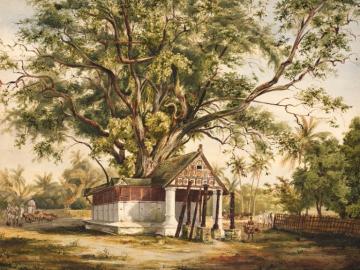 Banyan tree and pagodas near Cochin, Malabar Coast