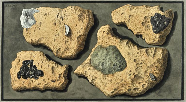 Echantillons de tufas contenant des fragments d'huîtres, pl.XXXXII