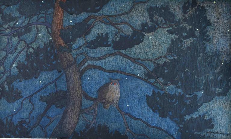 Owl on a tree in the starry night, Alö Island, Sweden