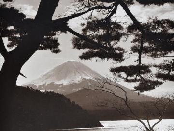 Fuji from Shoji Lake