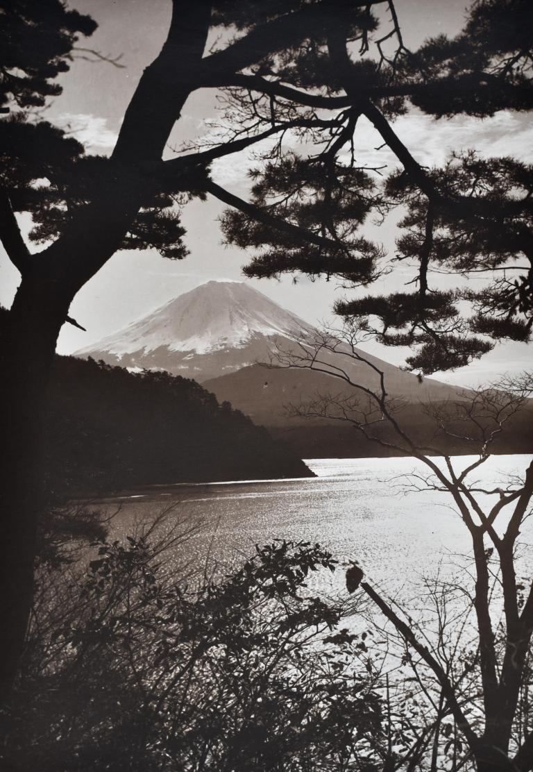 Fuji from Shoji Lake