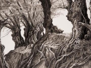Hommage à Tolkien