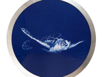 Hawsbill Turtle (Icons of the ocean)
