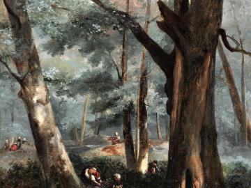 Chêne de la Plaine-Blanche à Fontainebleau