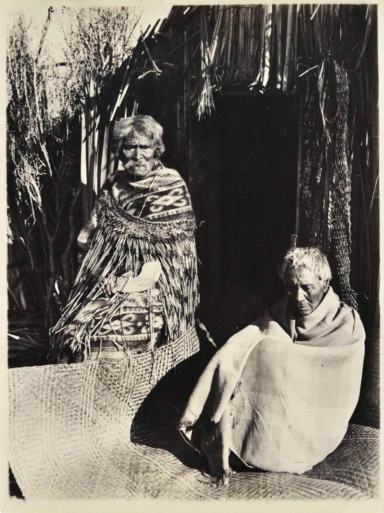Portrait of Two Maori Chiefs