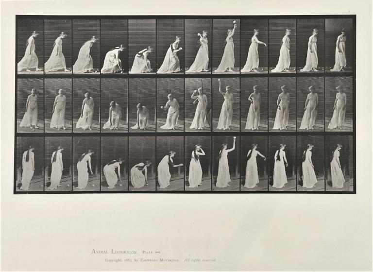 Femme à la balle, planche d'Animal Locomotion