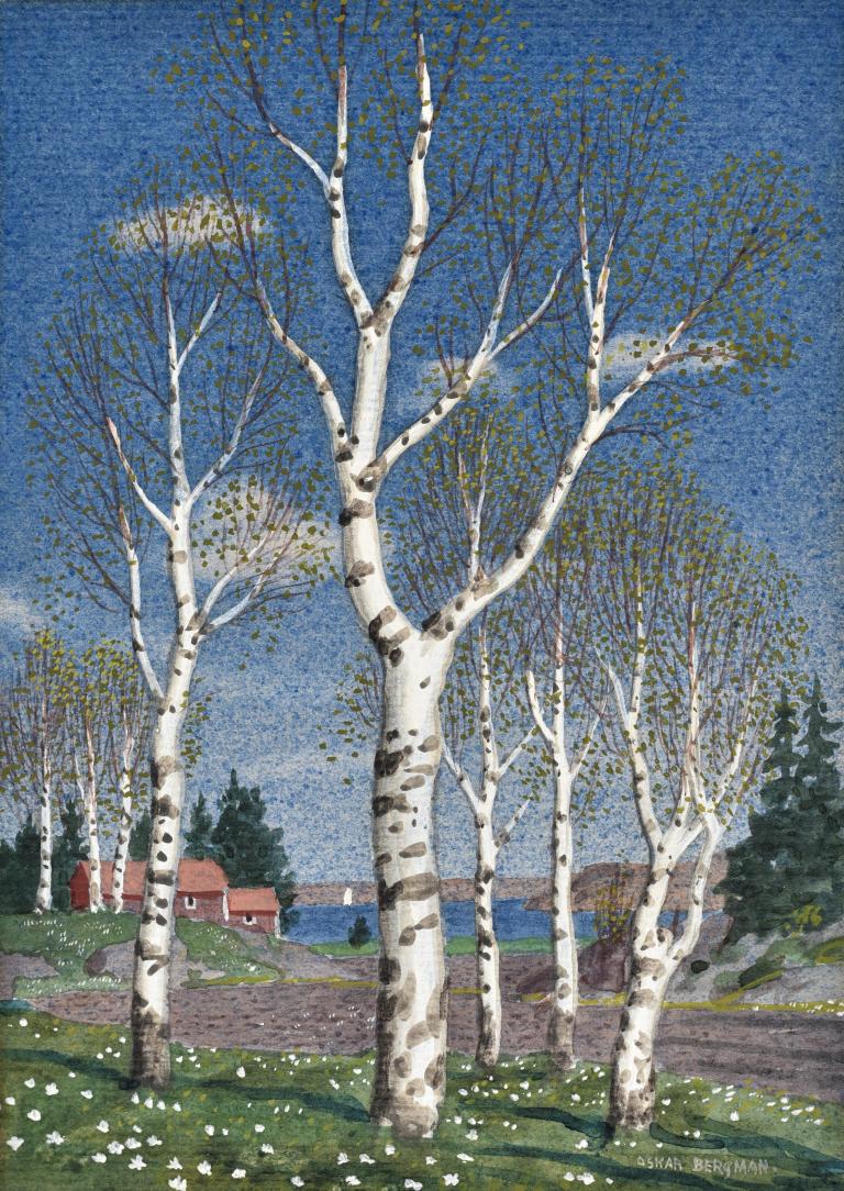 Björkar i vårlandskap (Birches in Spring)