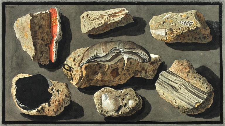 Fragments de peinture du Théâtre d'Herculanum et Fossiles, pris dans le tufa, pl.XXXV