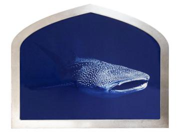 Requin baleine (Icônes de l'océan)