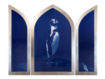 Manchot des Galapagos (Icônes de l'océan)
