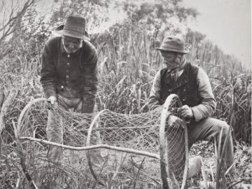 Setting Up the Bow-Net