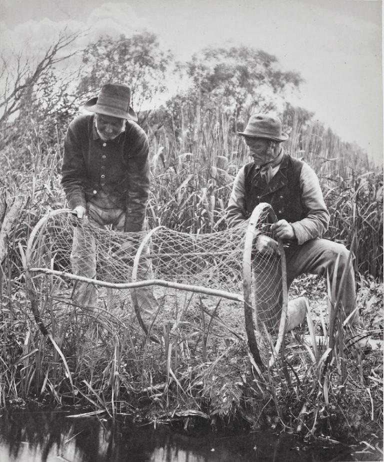 Setting Up the Bow-Net
