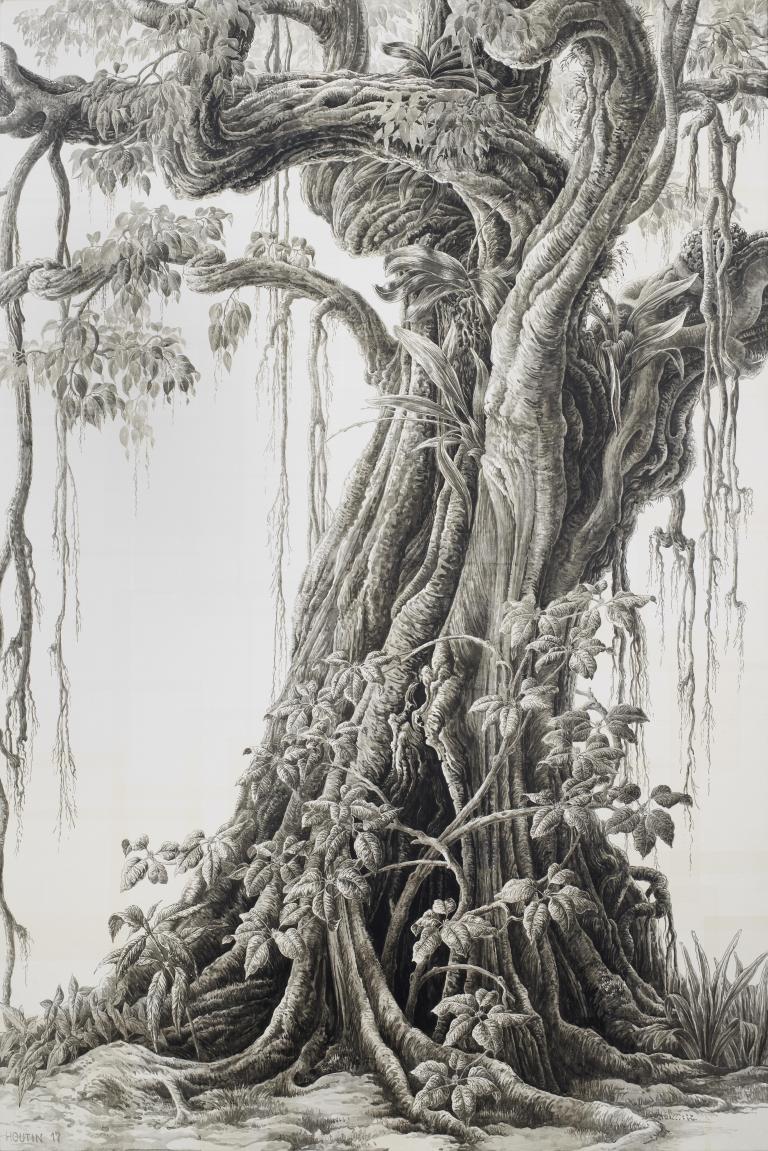 Arbre de vie, n°2, Rio de Janeiro, Brésil