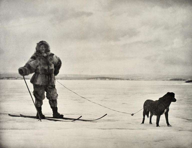 Fridtjof Nansen à ski, avec son chien, Pôle nord