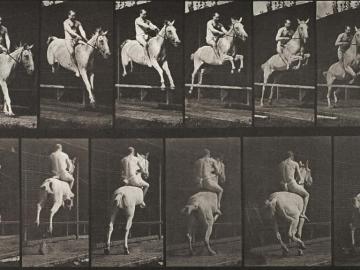 Show jumping, plate of Animal Locomotion