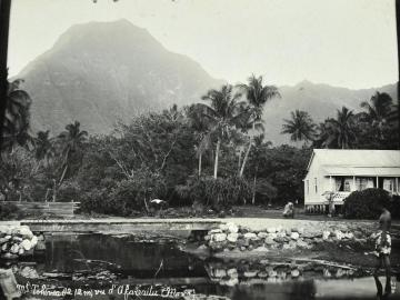 Mont Tahivea, Moorea